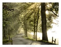 Fresh Morning II Fine Art Print