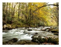 Creekside Fine Art Print