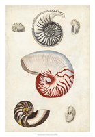 Seashore Field Notes I Fine Art Print