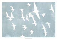 Silhouettes in Flight II Fine Art Print