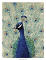 Blue Peacock II Fine Art Print
