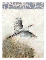 Waterbirds in Mist I Framed Print
