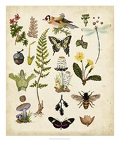 A Walk in the Forest I Fine Art Print