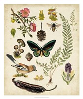 A Walk in the Forest II Fine Art Print