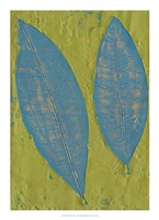 Tropicale II Framed Print