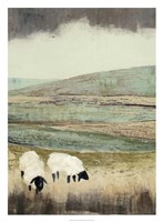 Open Meadow II Framed Print