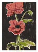 Haloed Poppies I Fine Art Print