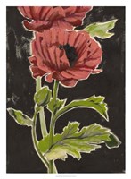 Haloed Poppies II Fine Art Print