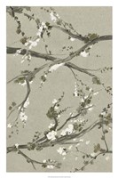 Neutral Cherry Blossoms I Framed Print