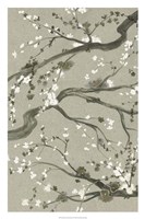 Neutral Cherry Blossoms II Framed Print