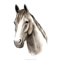 Western Animal Study II Fine Art Print