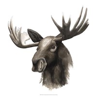 Western Animal Study III Fine Art Print