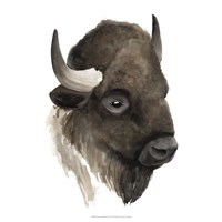 Western Animal Study IV Fine Art Print