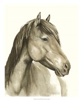 Luna Mare I Fine Art Print