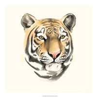 Safari Cat III Fine Art Print
