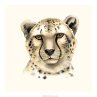 Safari Cat IV Fine Art Print