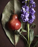 Leaf with Pear 2 Fine Art Print