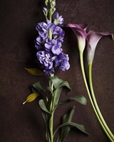 Flowers Fine Art Print