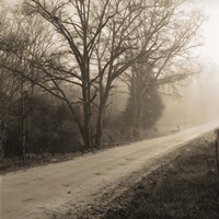 Veras Road Fine Art Print