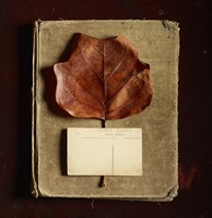 Postcard Fine Art Print