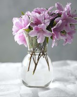 Azalea Fine Art Print