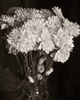 Pompons Fine Art Print