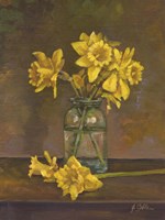 Late Daffs Fine Art Print
