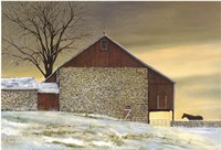 Mare's Morning Fine Art Print