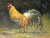 Pretty Boy Fine Art Print