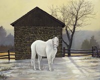 Mare Shed Fine Art Print