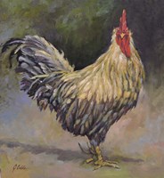 Truman Fine Art Print