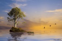 The Immortal Tree Fine Art Print