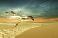 Soft Sunrise on the Beach 6 Fine Art Print