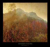 Autumn Colors 2 Fine Art Print