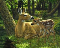 First Spring by Crista Forest - various sizes, FulcrumGallery.com brand