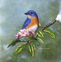 Looking for a Mate Fine Art Print