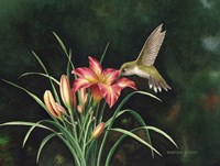 Ruby's Day Lily Fine Art Print