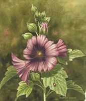 Lady Bug on Hollyhocks Fine Art Print