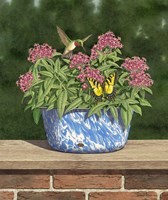 Wait Your Turn Fine Art Print