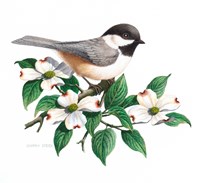 Studio Friends - Chickadee Fine Art Print