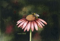 Taste of Nectar Fine Art Print