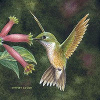 Backyard Jewel Fine Art Print