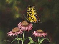 Picking Coneflowers Fine Art Print