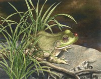 Something to Smile About Fine Art Print