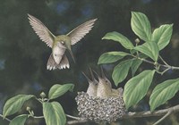 Whose Turn is it Fine Art Print