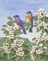 Grandfather's Seasons Spring Fine Art Print