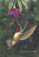 Delightful Fushia Fine Art Print