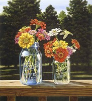 Zinnias a Sunnin' Fine Art Print