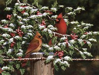 Hangin' Out in the Holly Fine Art Print