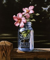 Rose of Sharon Fine Art Print